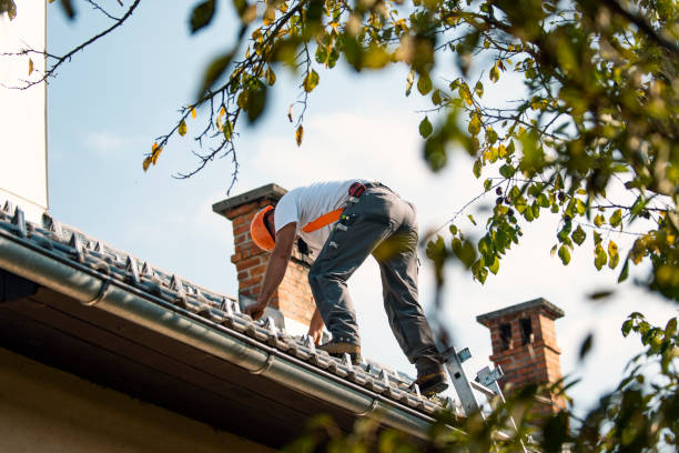 Best Metal Roofing Contractor  in Green Park, MO