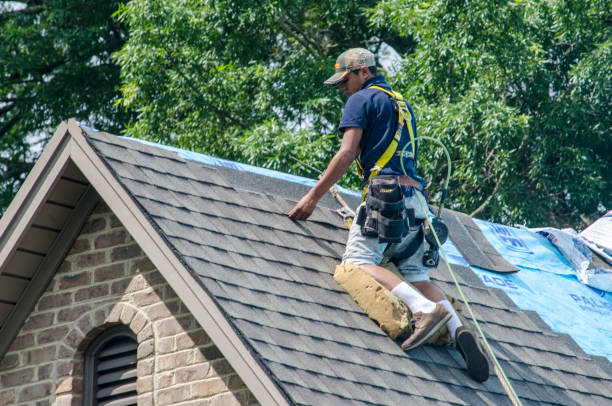 Best Gutter Installation and Roofing  in Green Park, MO